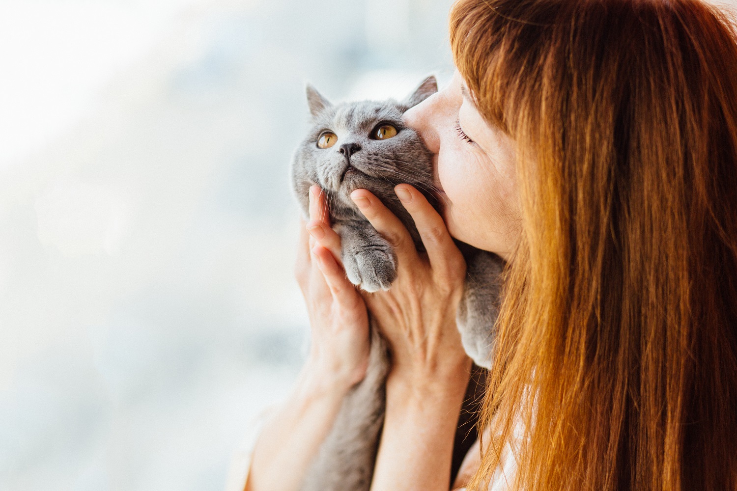 column-by-dr.-nancy-alvarez:-love-each-other-like-cats?