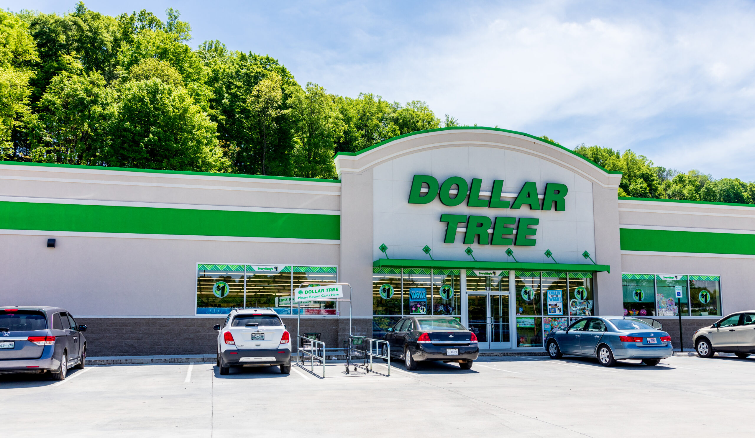 5-dollar-tree-products-that-are-the-best-in-their-field