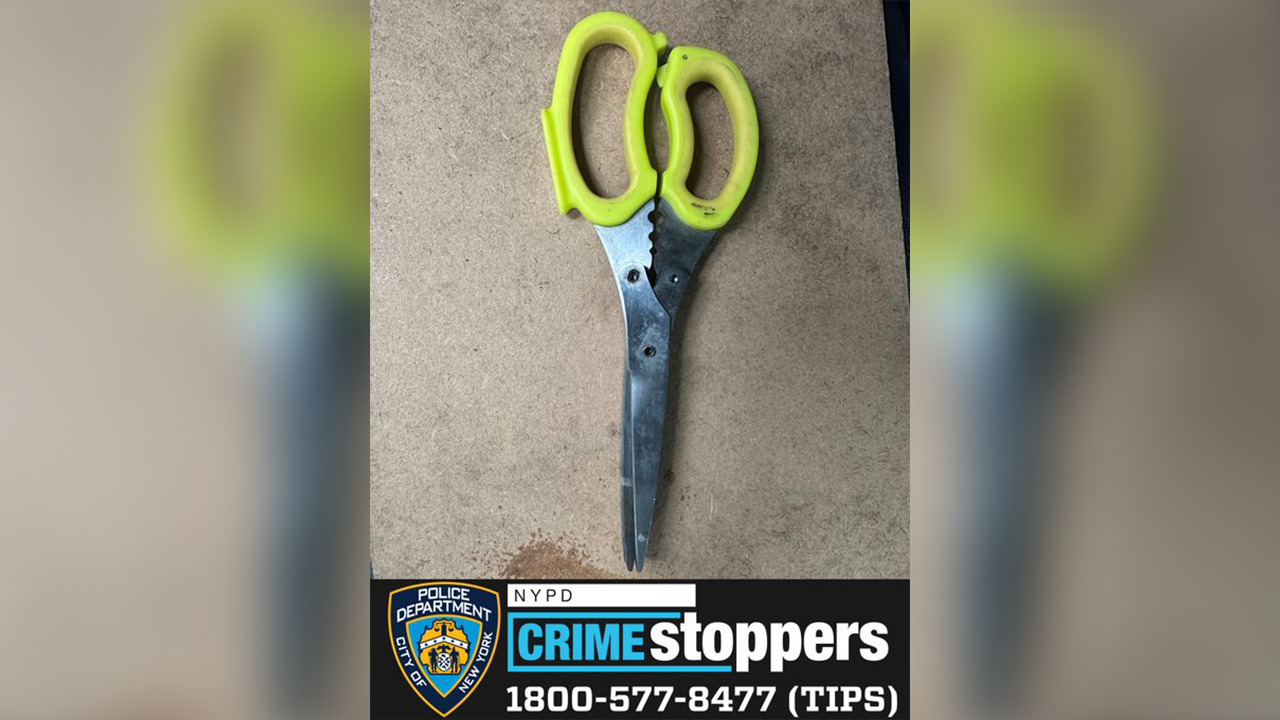 teenager-shot-to-death-while-confronting-nypd-with-scissors-in-queens-home