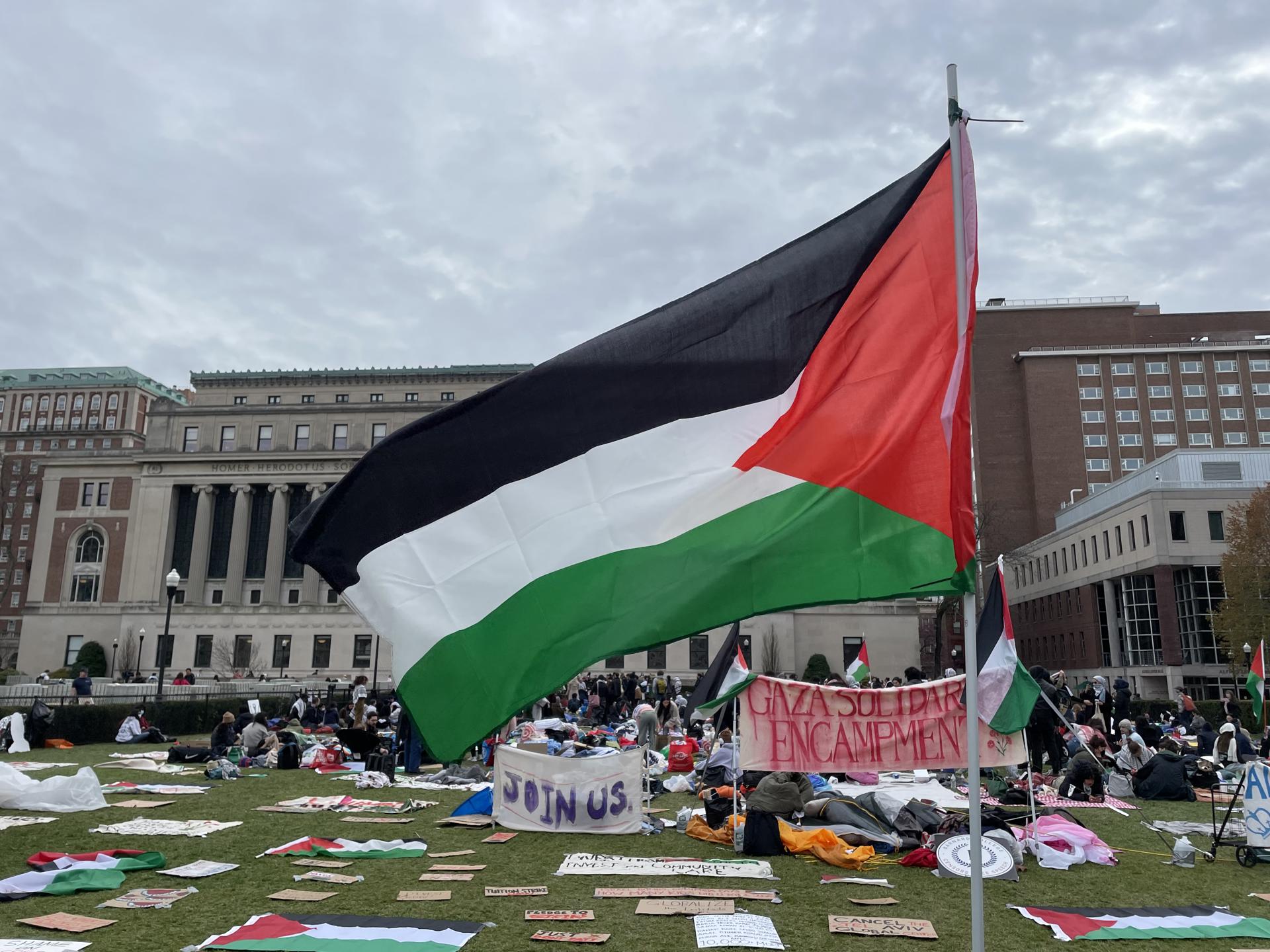 university-of-north-carolina-students-replaced-us-flag-with-a-palestinian-one-during-demonstration