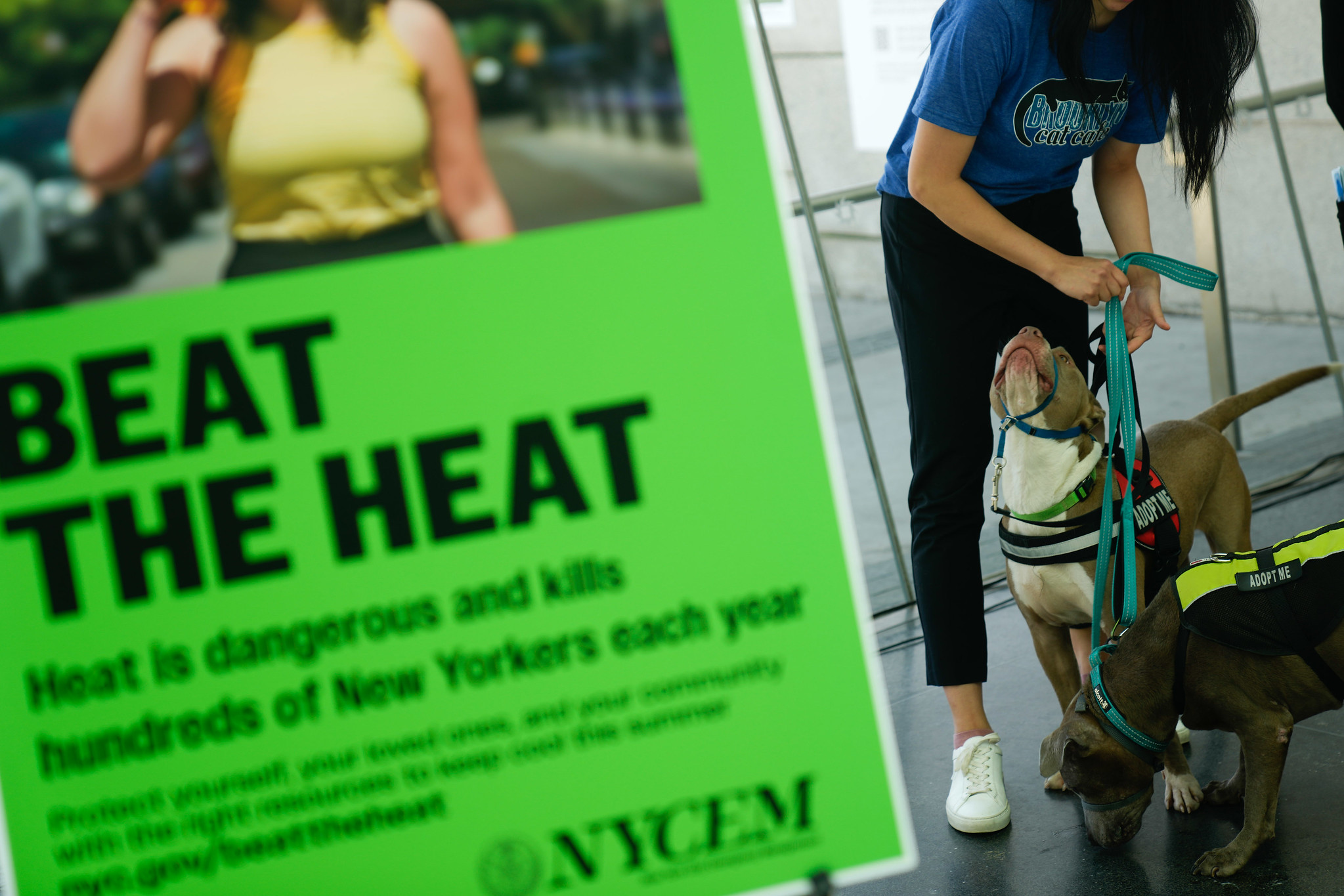 a-sweltering-summer-is-expected-in-the-big-apple:-authorities-ready-for-possible-emergencies