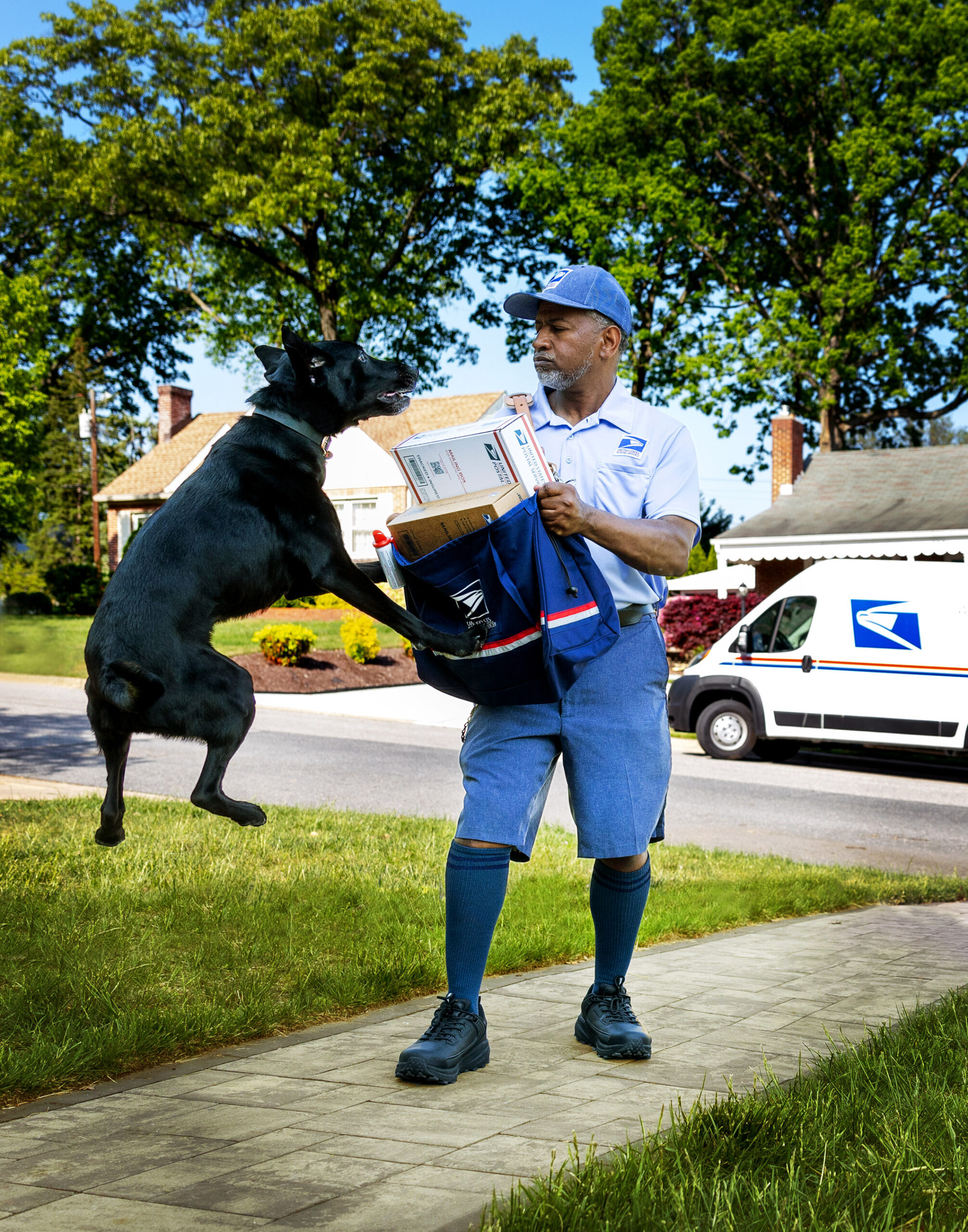 dog-attacks-on-postal-service-employees-rose-to-more-than-5,800-cases-last-year