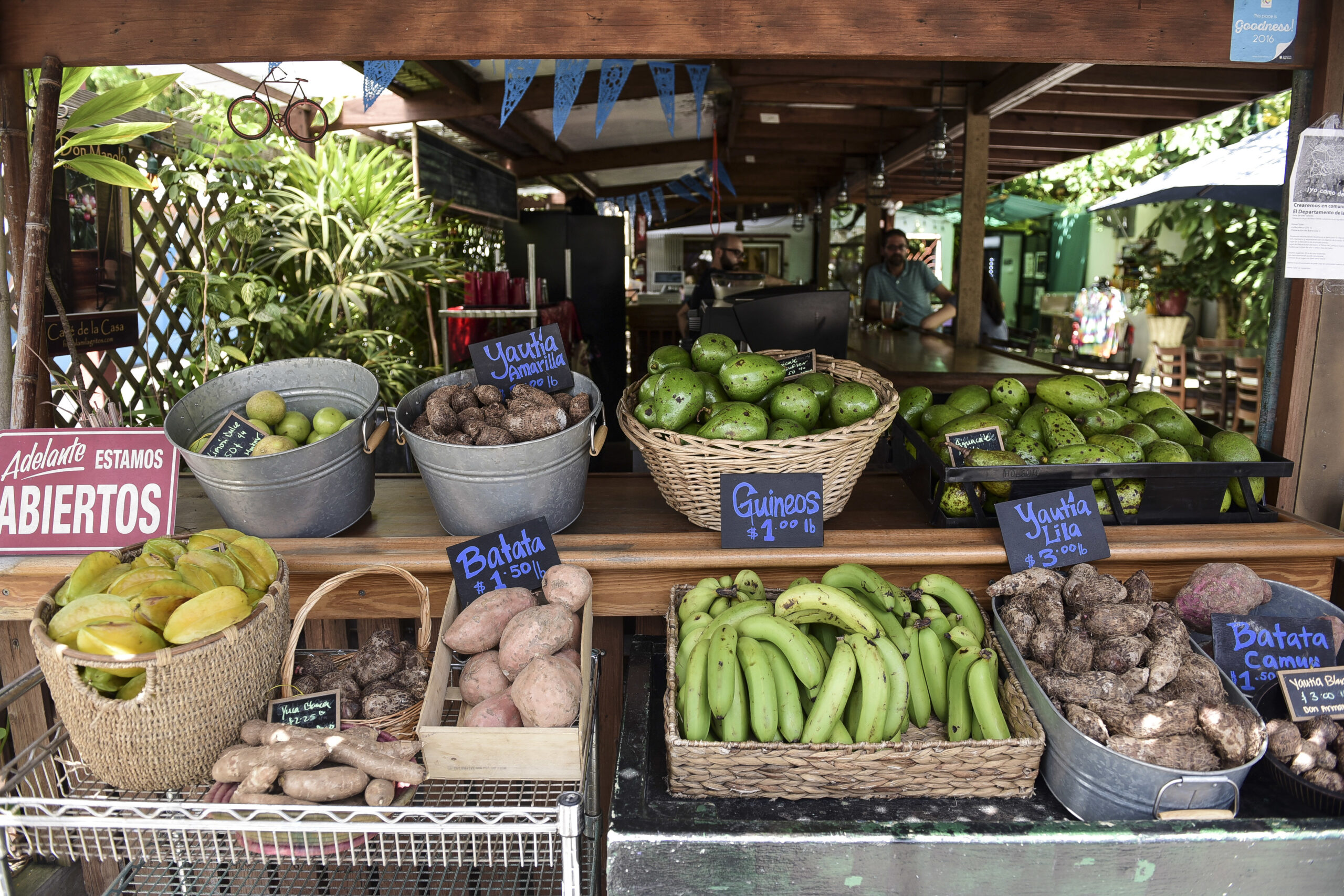 jackson-county-legislature-in-missouri-approves-resolution-in-favor-of-food-sovereignty-for-puerto-rico-as-part-of-snap