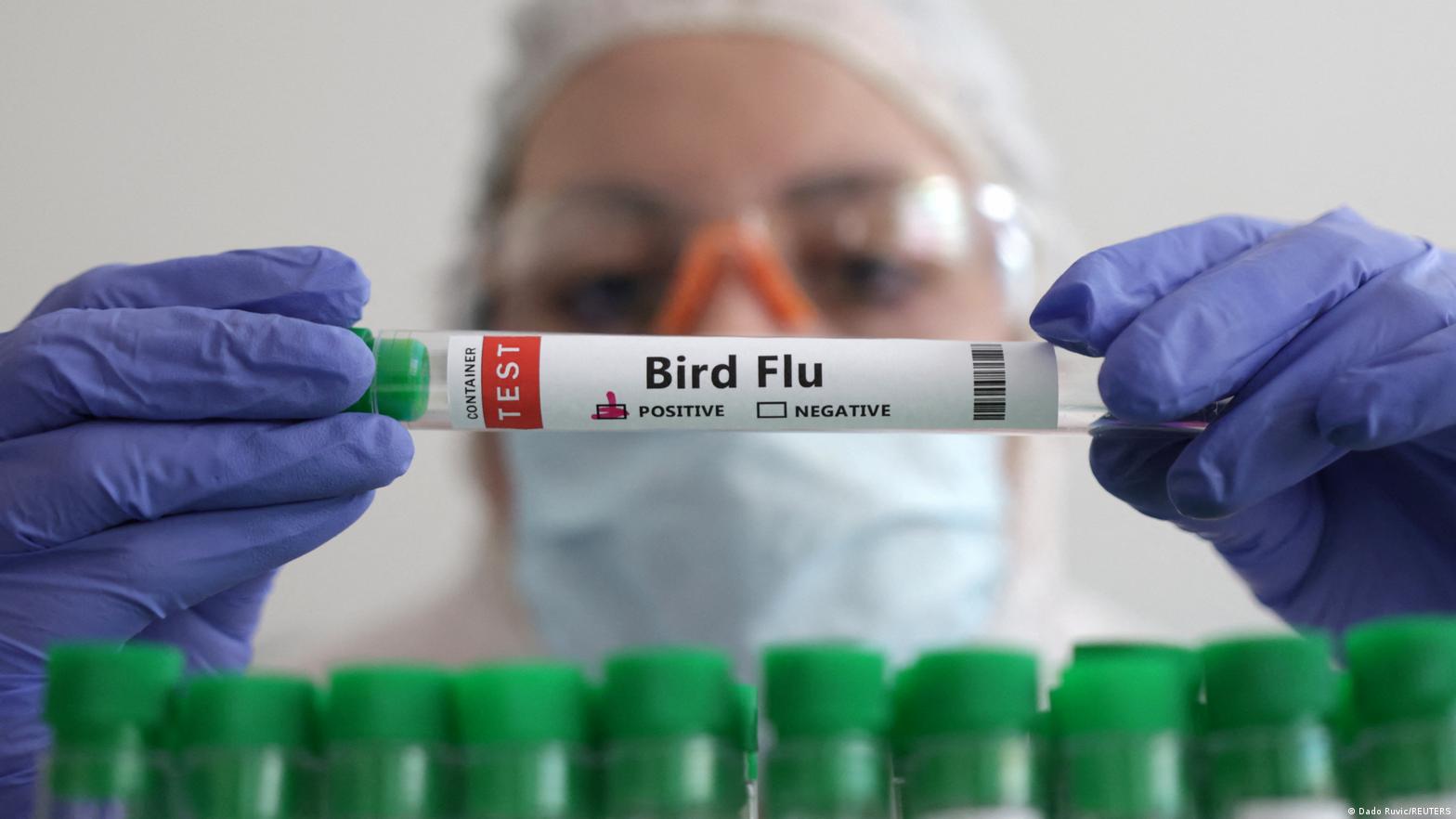 four-colorado-poultry-workers-diagnosed-with-bird-flu