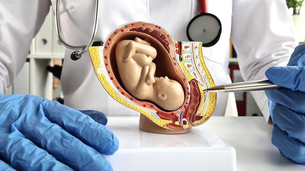 the-ethical-controversy-behind-artificial-wombs-for-premature-babies