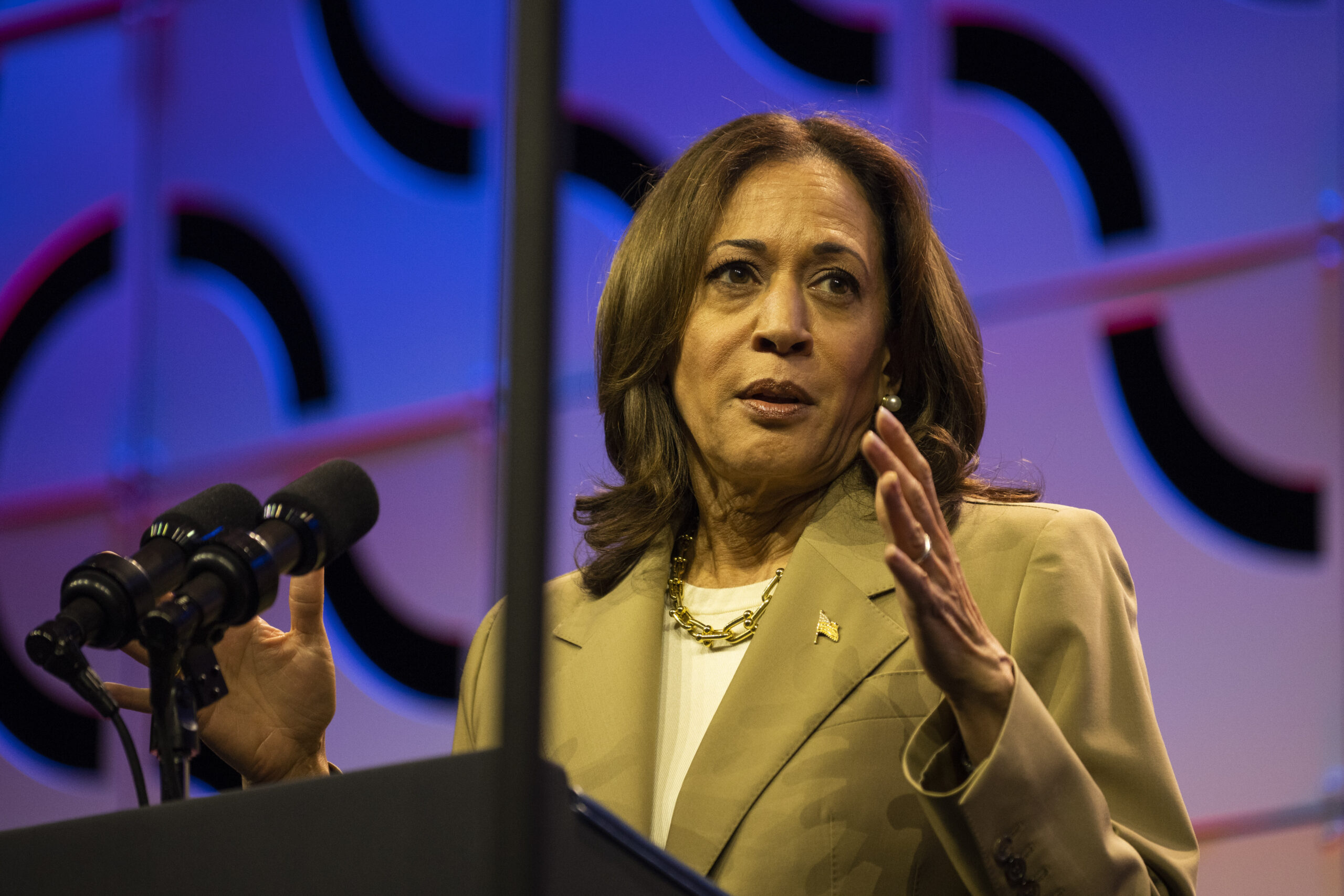 kamala-harris-has-the-support-of-531-delegates-for-the-nomination,-according-to-reports