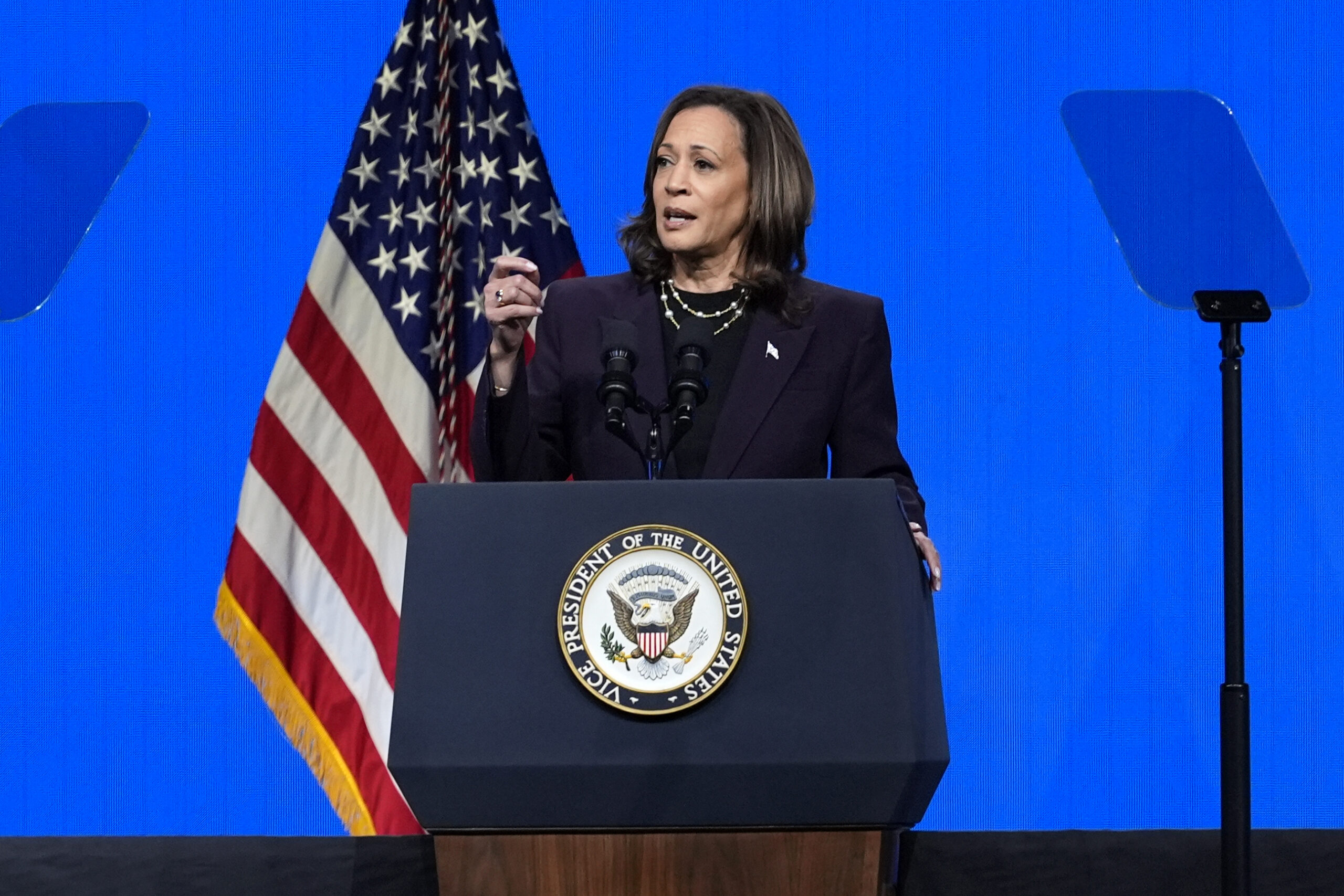 kamala-harris-condemns-burning-of-us-flag-in-protest-against-netanyahu