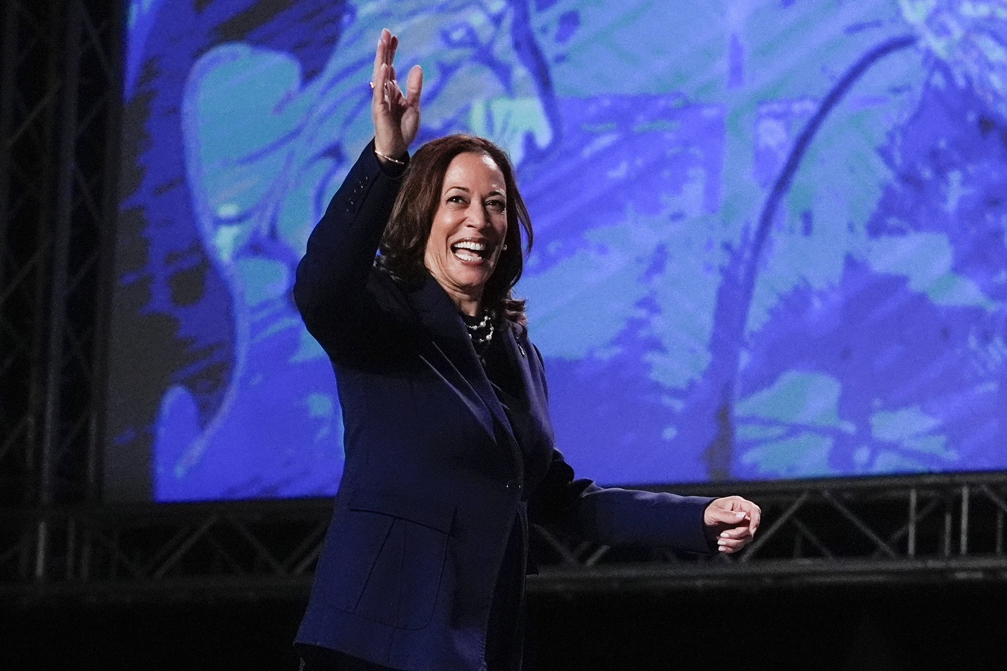 kamala-harris-wins-votes-to-be-the-democratic-party's-presidential-candidate