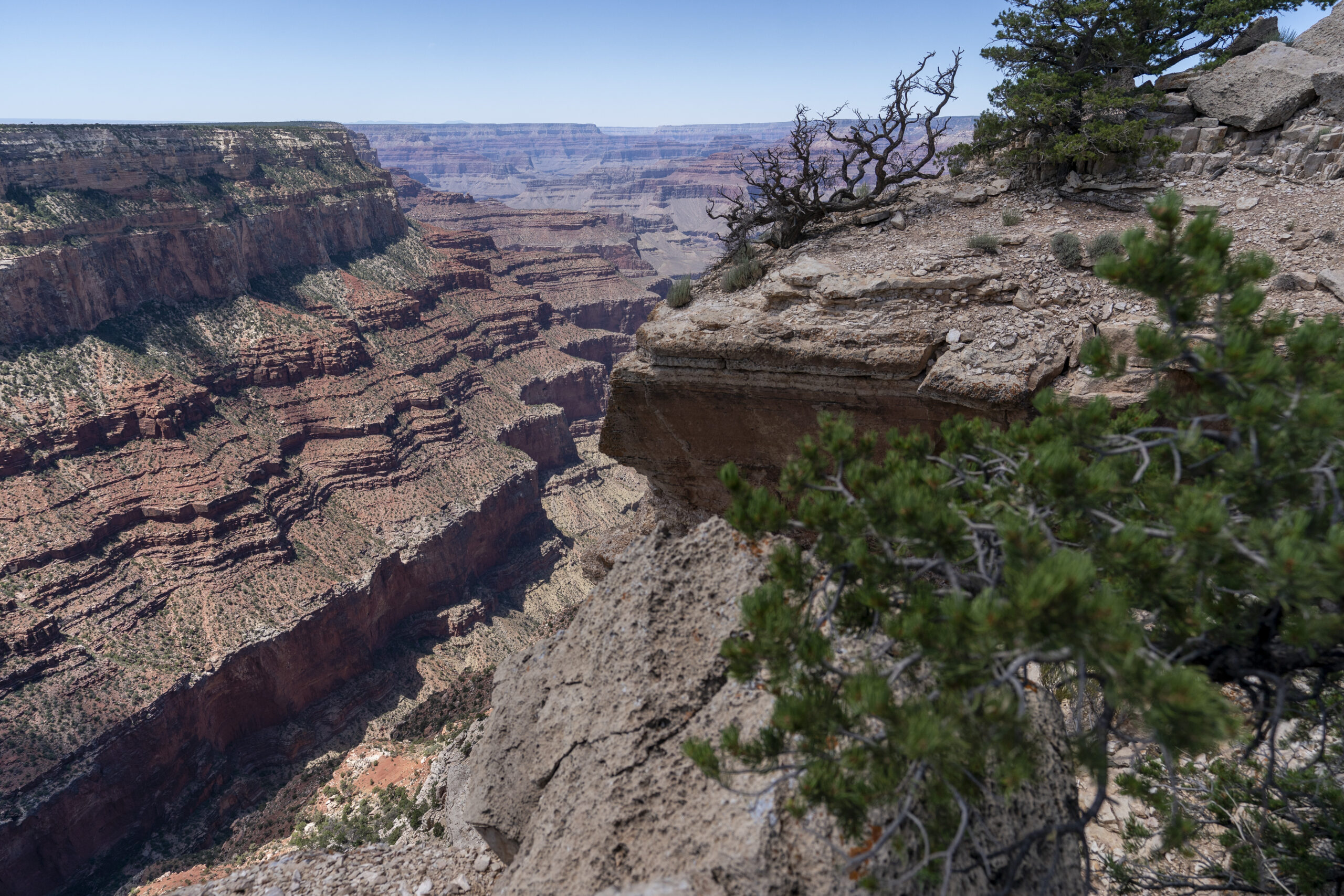 man-dies-after-skydiving-150-feet-in-grand-canyon