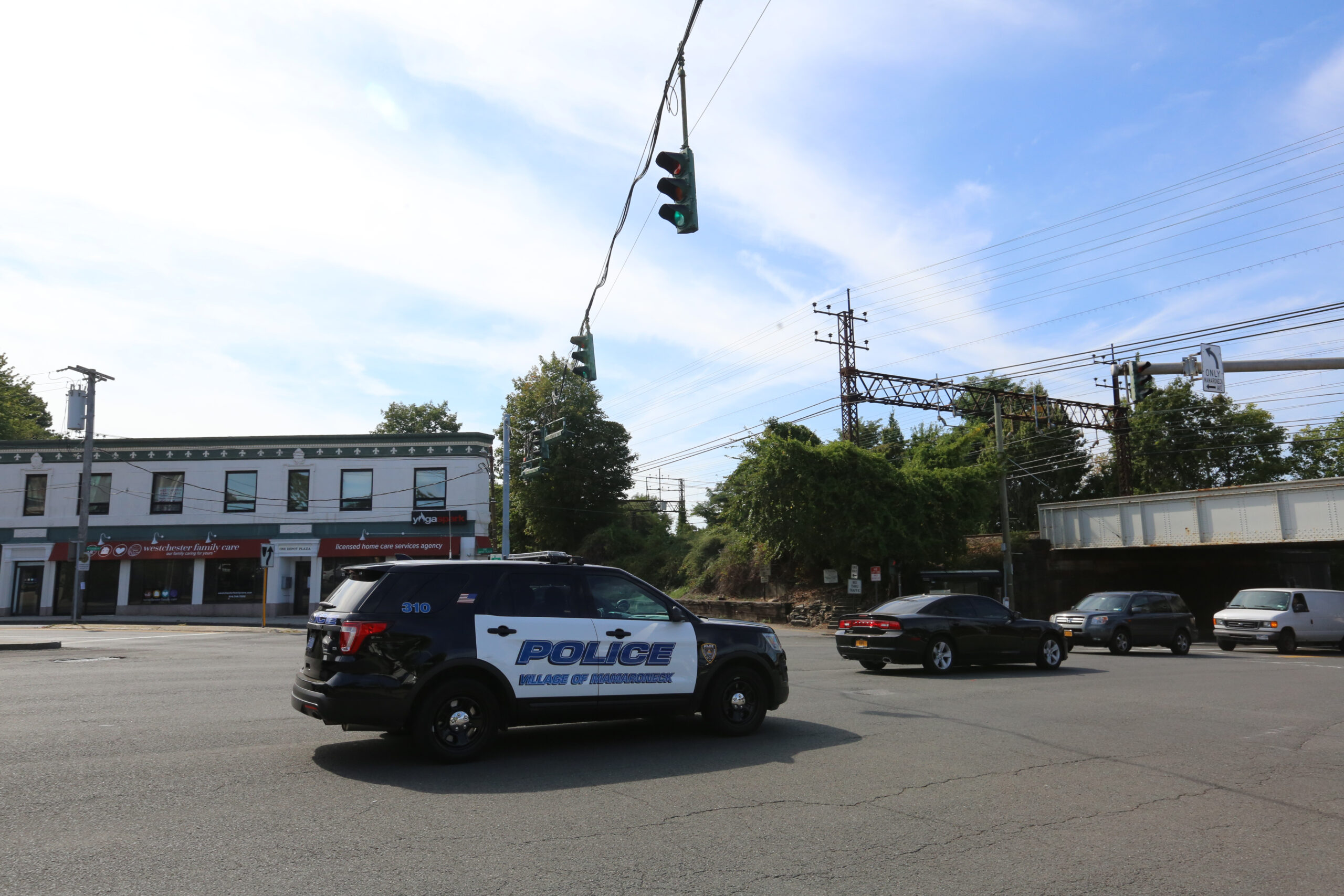 horror-in-new-york:-burning-corpse-found-in-shopping-cart-under-bridge