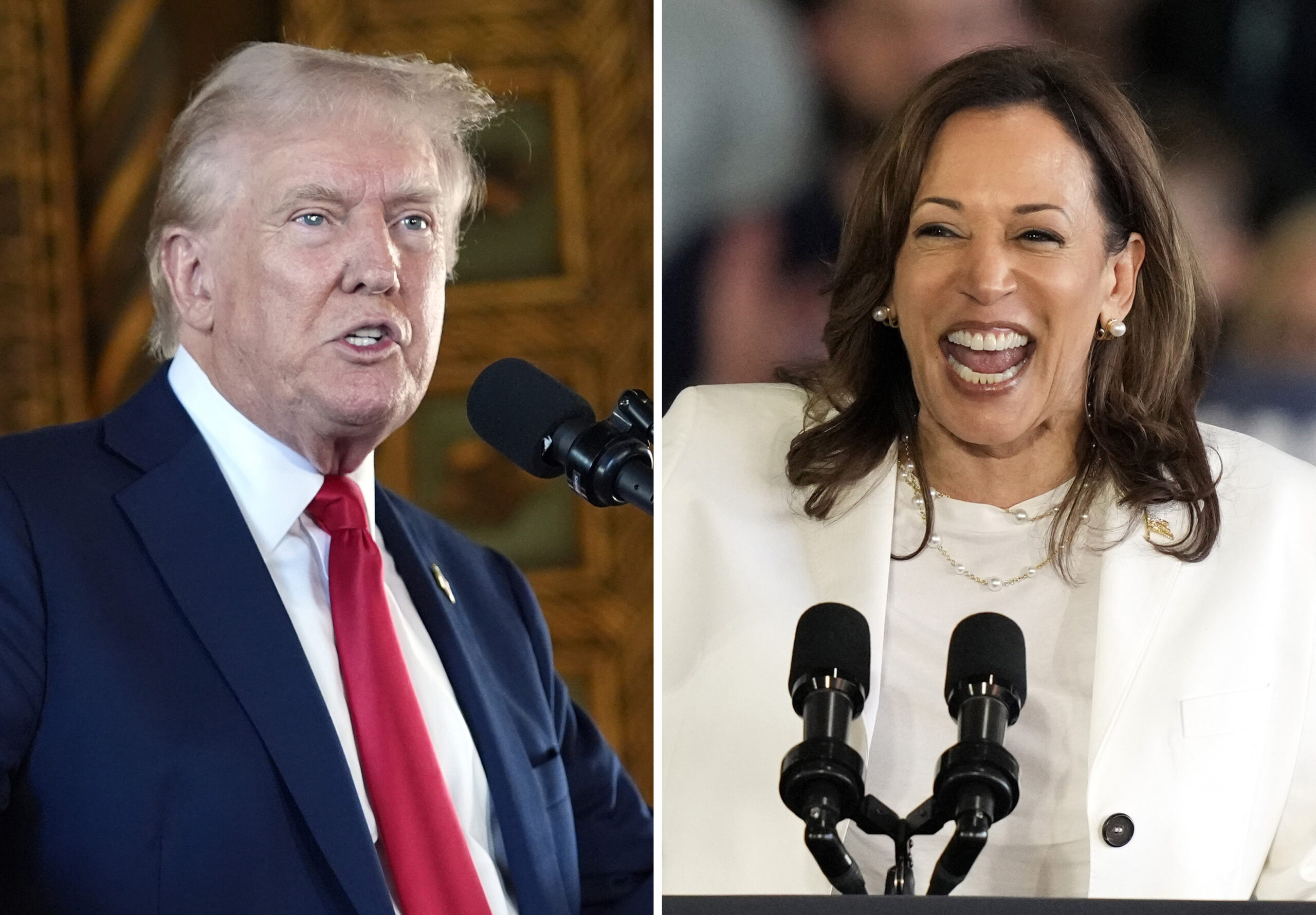 kamala-harris-takes-slight-lead-over-trump-in-polls-ahead-of-presidential-election