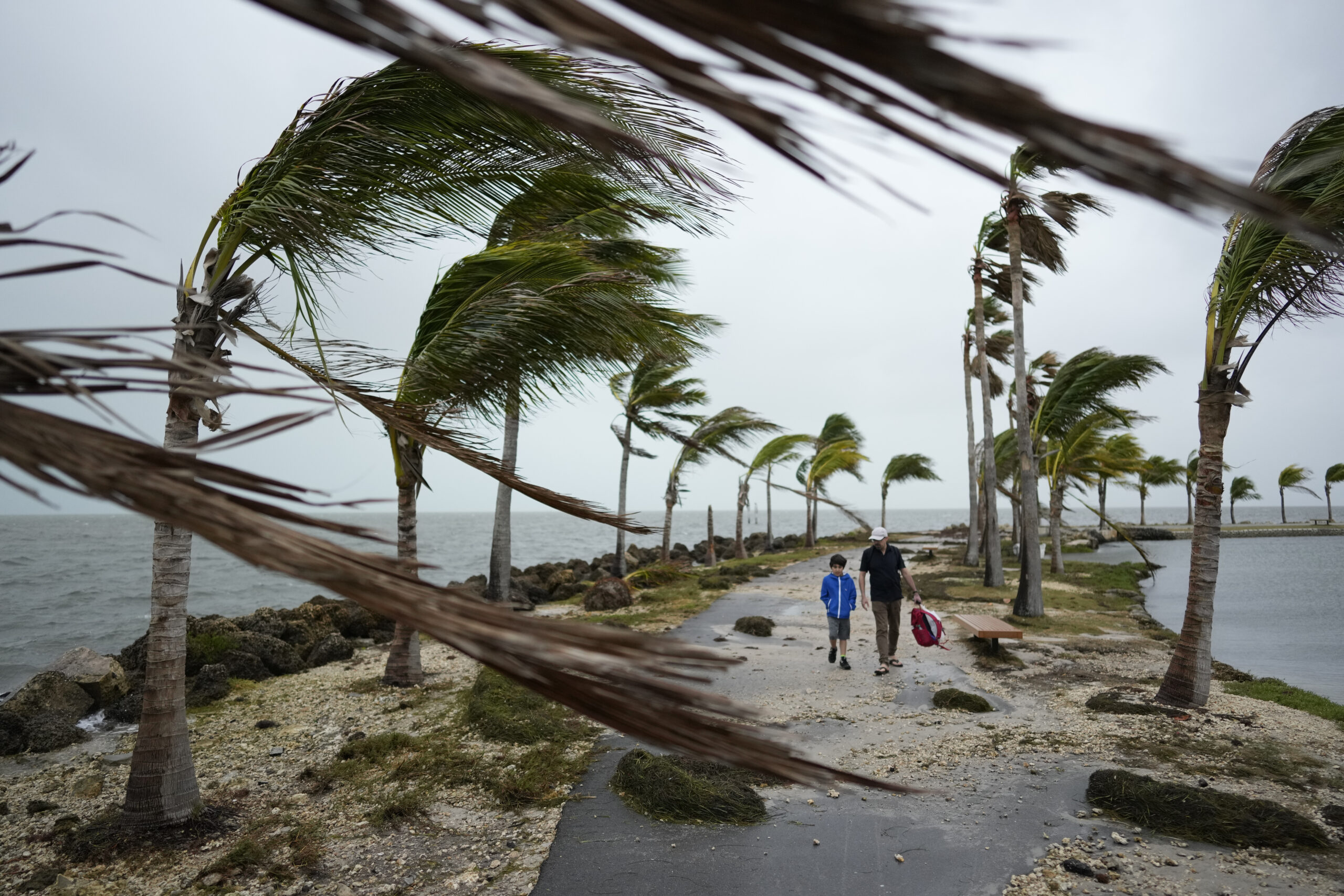 la-nina-storm-could-change-climate-around-the-world:-expert-analysis