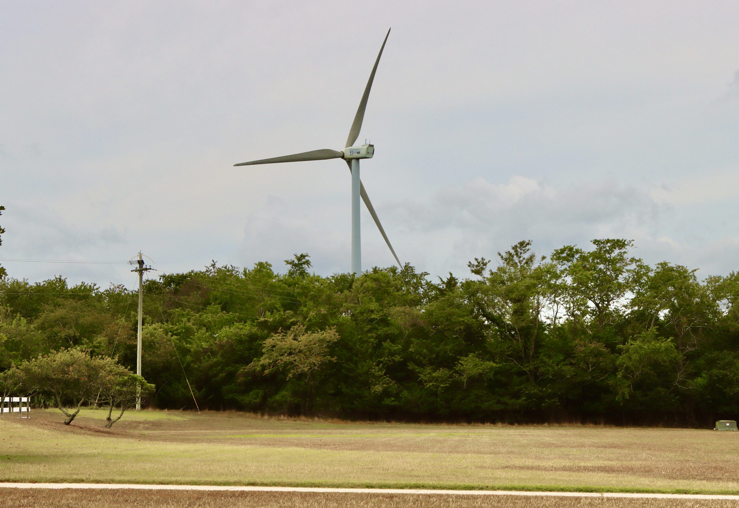 how-to-combat-the-climate-crisis-from-home